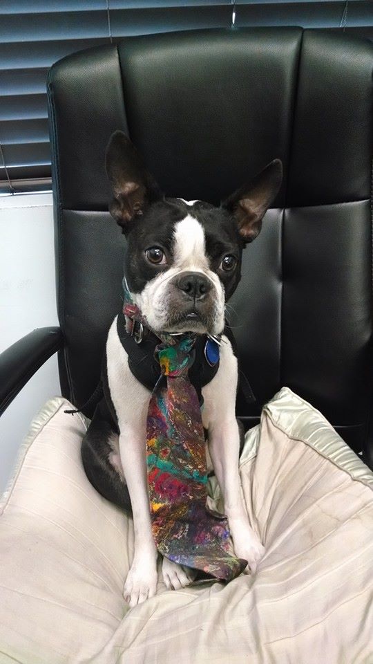 How to Lose 100 Lbs Without Losing Your Mind or Breaking the Bank: Part II – Know What You&nbsp;Consume