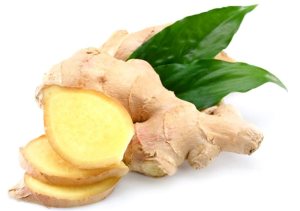 http://www.asiantraders.co.in/fresh-ginger.htm