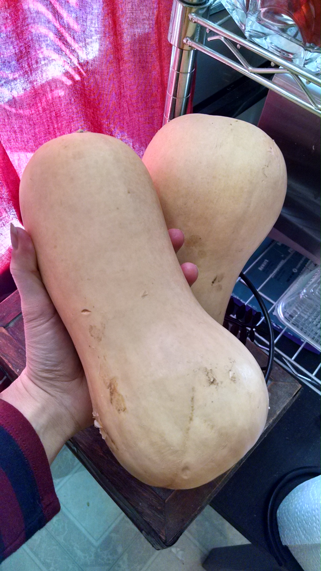 Meal Planning on a Budget: Part I – Before You Set Foot in the Grocery&nbsp;Store