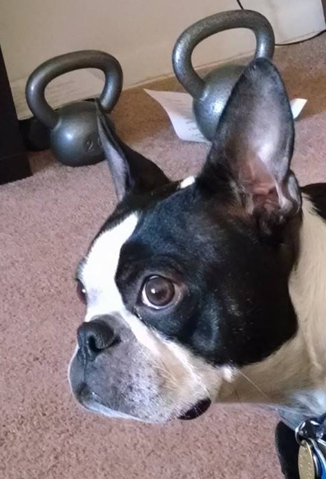 10245569_10154941369950655_3160586024212443364_n