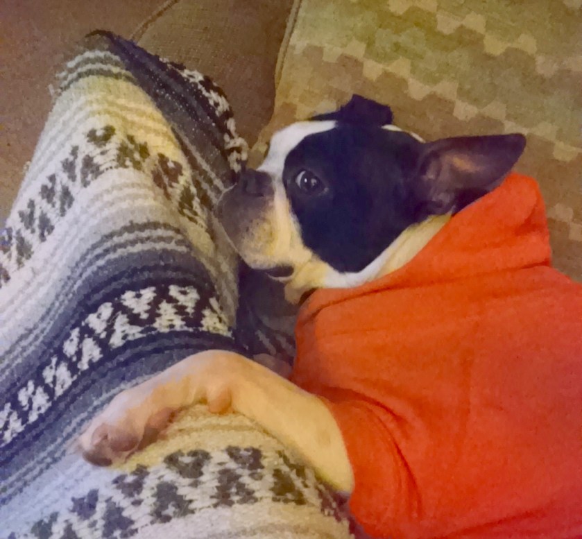 IMG_20150212_194025544