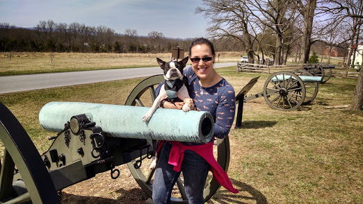 Giving and Getting Back: Why I Love Volunteering for an Animal&nbsp;Shelter