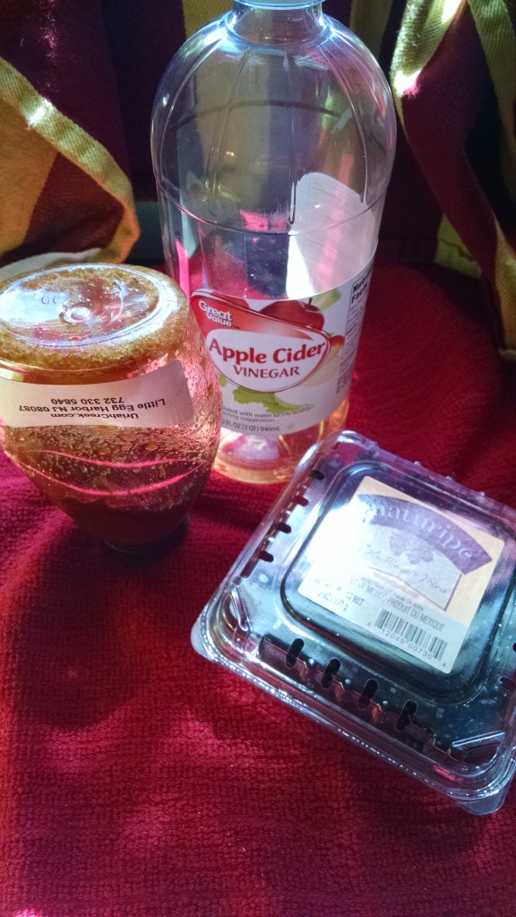 Honey Blackberry Shrub Ingredients