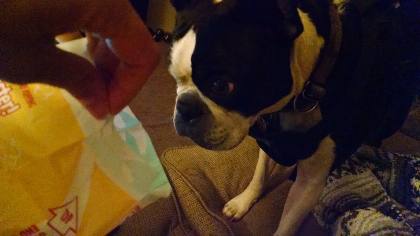 You asked for more Bingley!