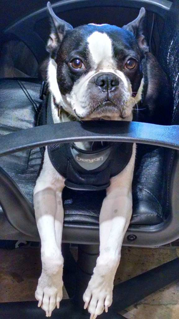 Is that the face of existential angst or what?