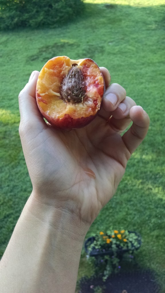 IMG_20150724_071135105