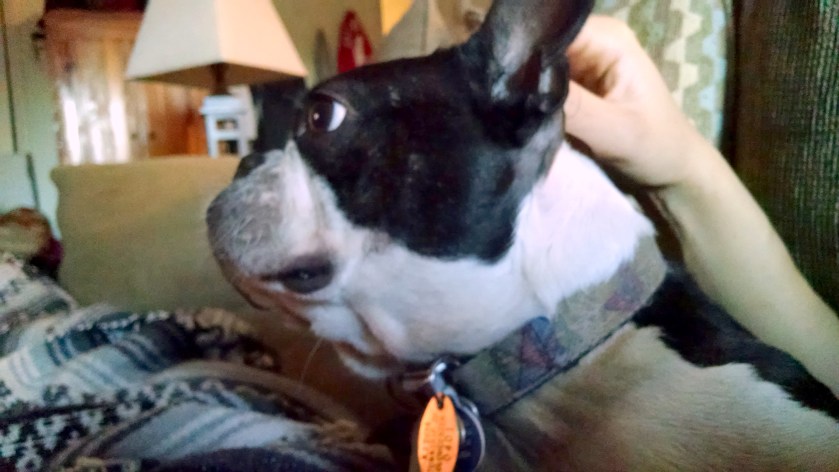 IMG_20150731_194526465