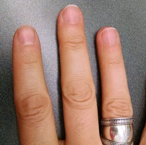 IMG_20150801_113236899