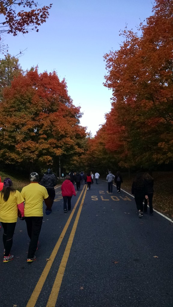 IMG_20151018_110017825