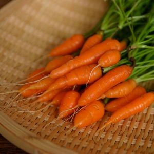 600px-Baby_Carrots_2