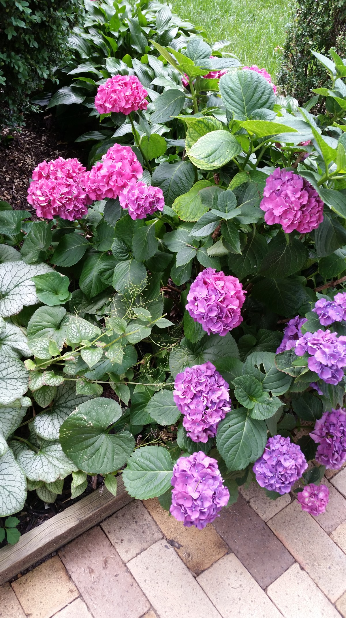 The World is Still&nbsp;Beautiful