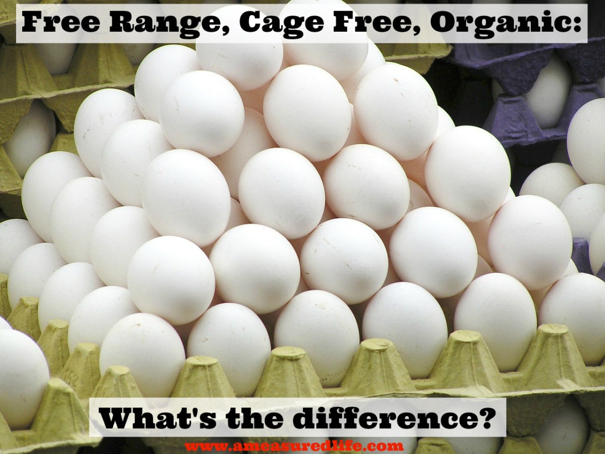 Eggs: Free Range, Cage Free, Organic – What Do They All&nbsp;Mean?
