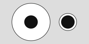 delboeuf-illusion-eating