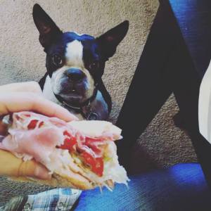 12191716_969100623131873_5681885482981468770_n